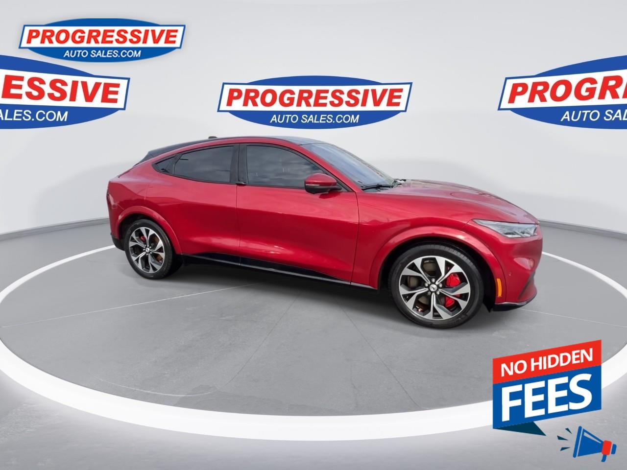 2021 Ford Mustang Mach-E Premium Photo