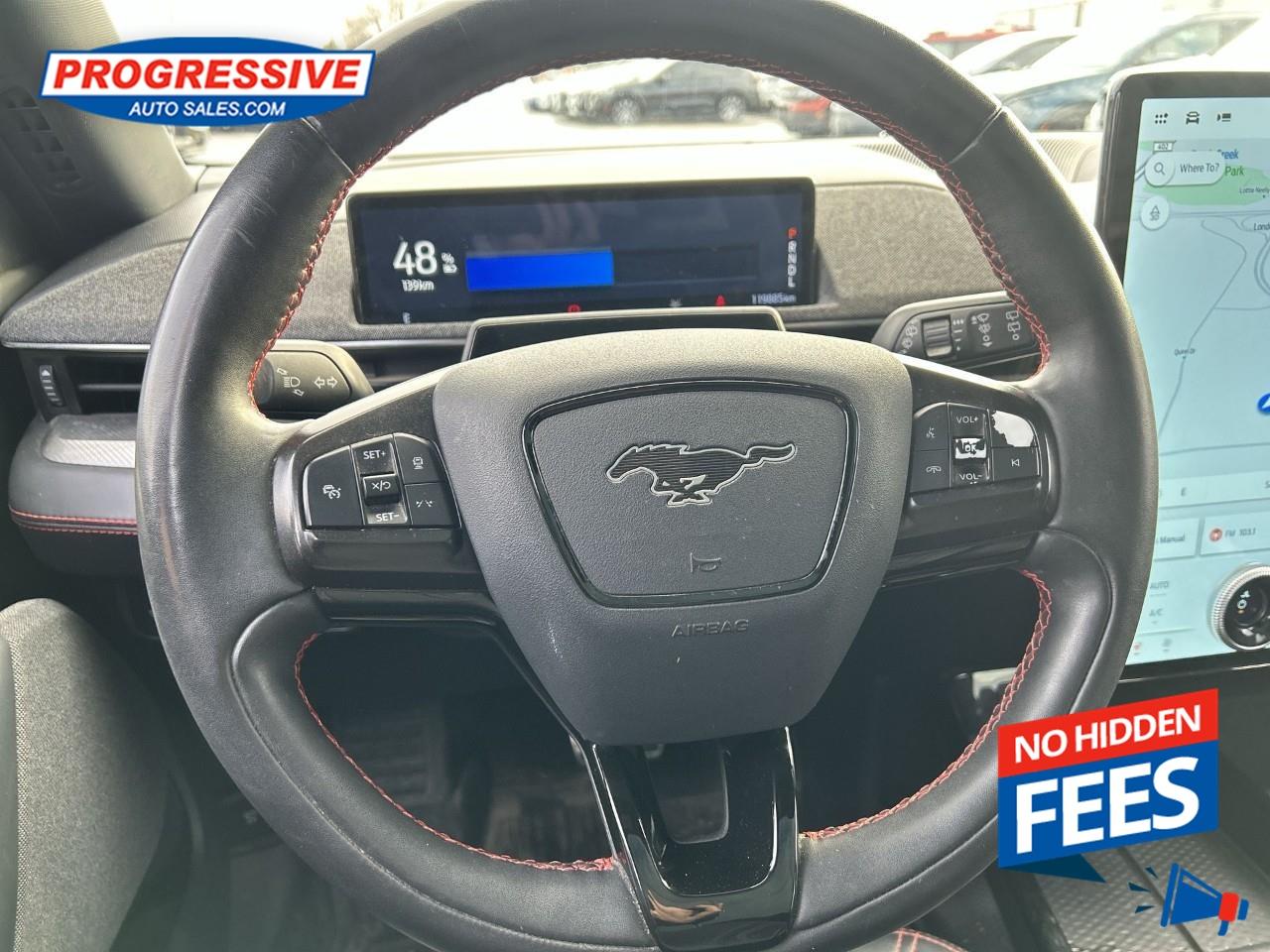 2021 Ford Mustang Mach-E Premium Photo