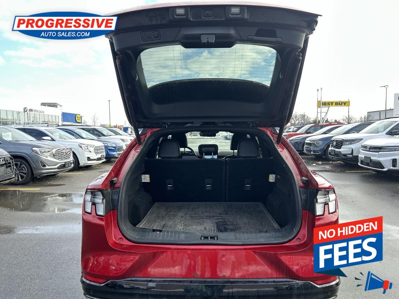 2021 Ford Mustang Mach-E Premium Photo