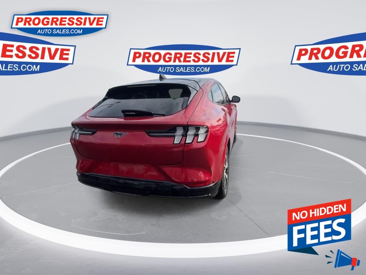 2021 Ford Mustang Mach-E Premium Photo