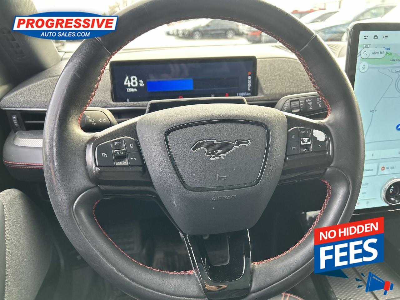 2021 Ford Mustang Mach-E Premium Photo