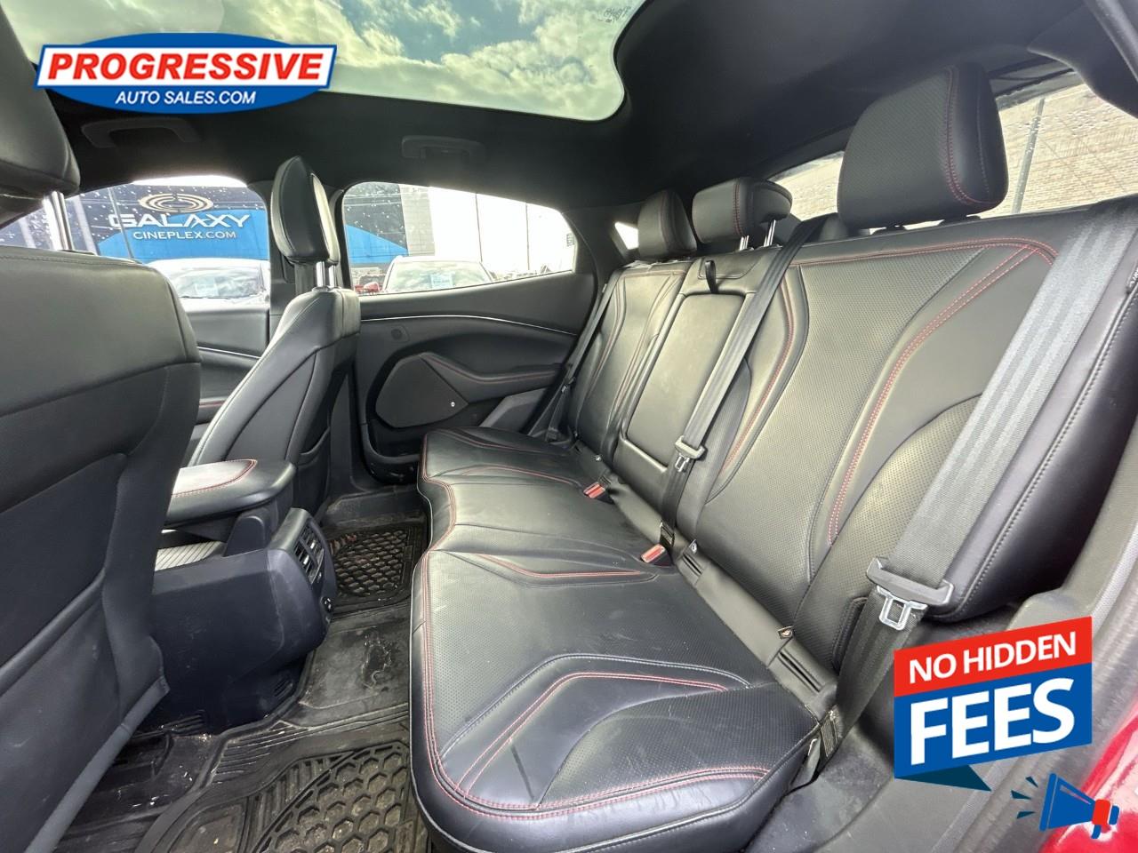 2021 Ford Mustang Mach-E Premium Photo