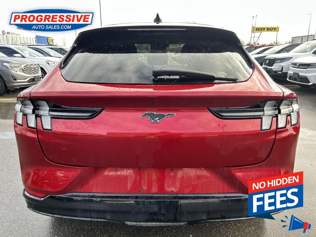 2021 Ford Mustang Mach-E Premium Photo