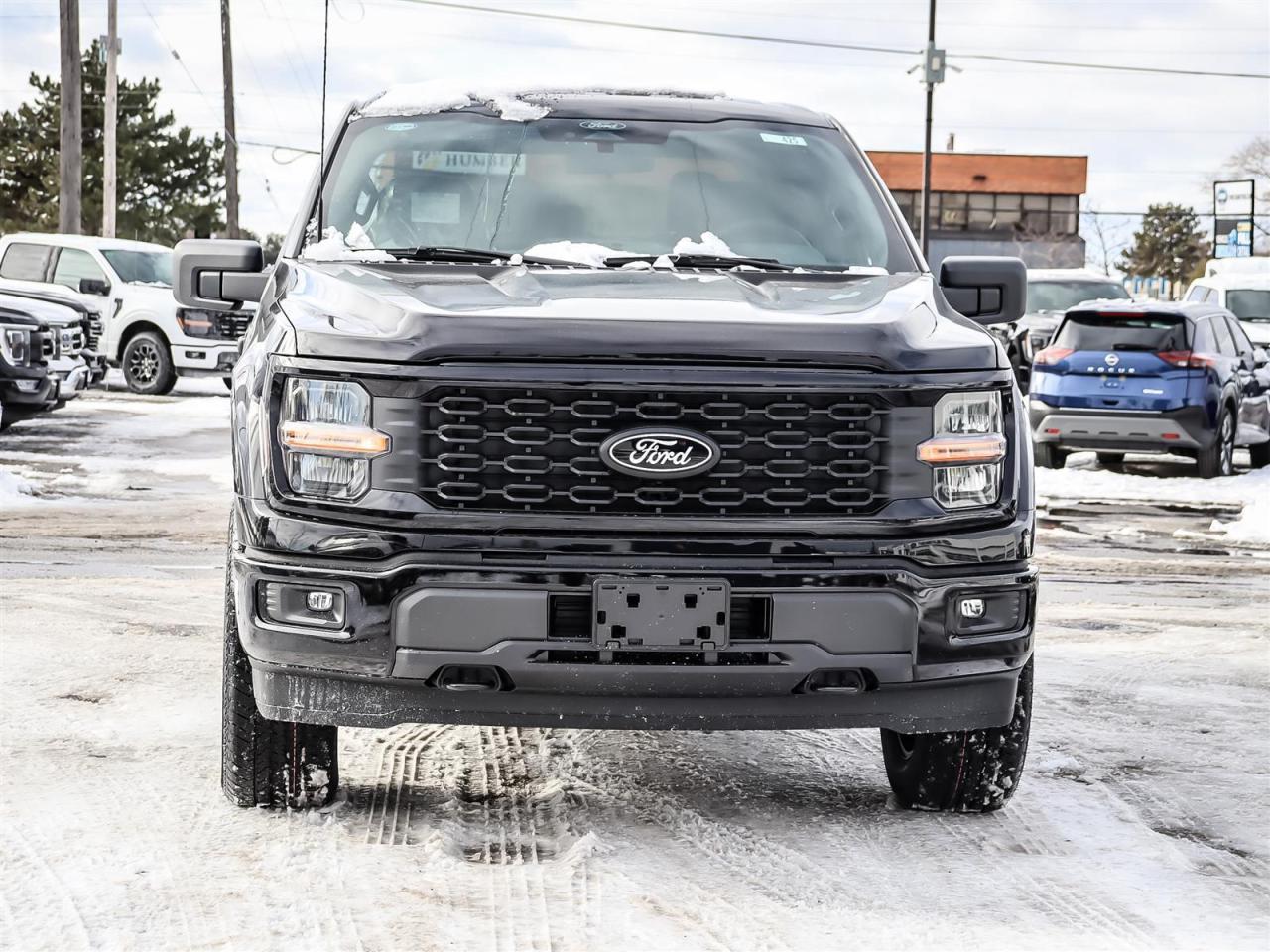 2025 Ford F-150 STX Photo2