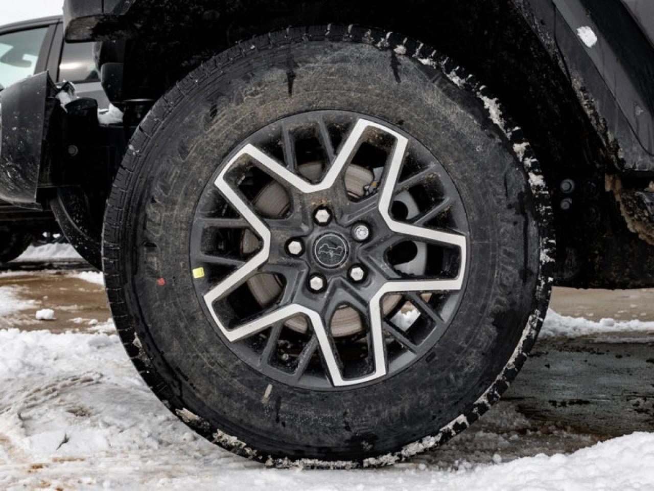 2026 Jeep Wrangler Sahara Photo