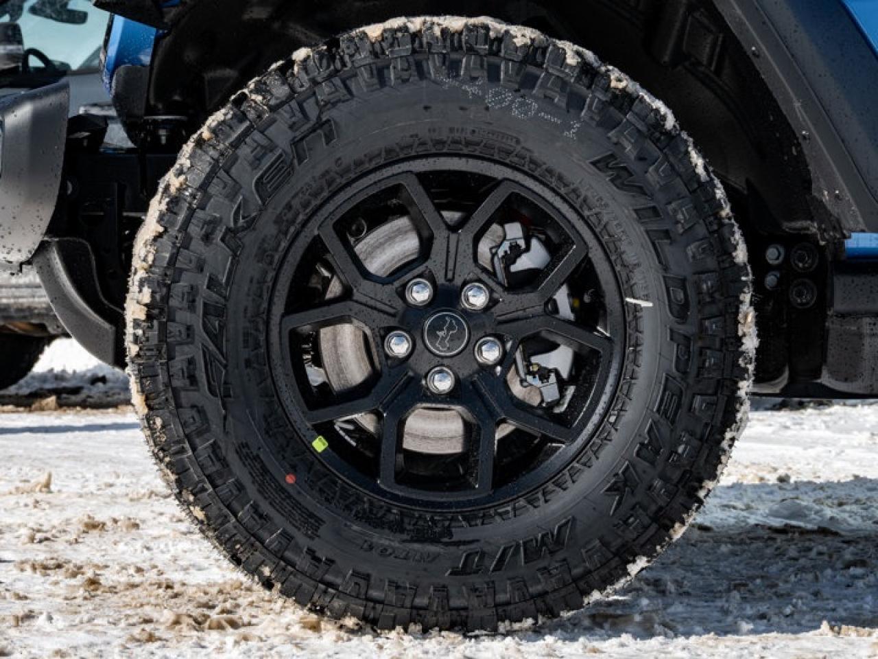 2026 Jeep Wrangler Willys Photo