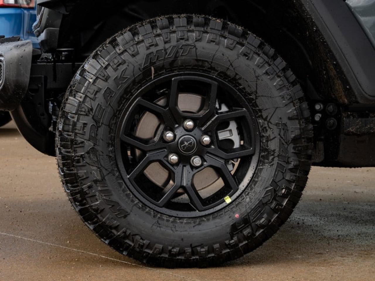 2026 Jeep Wrangler Willys Photo