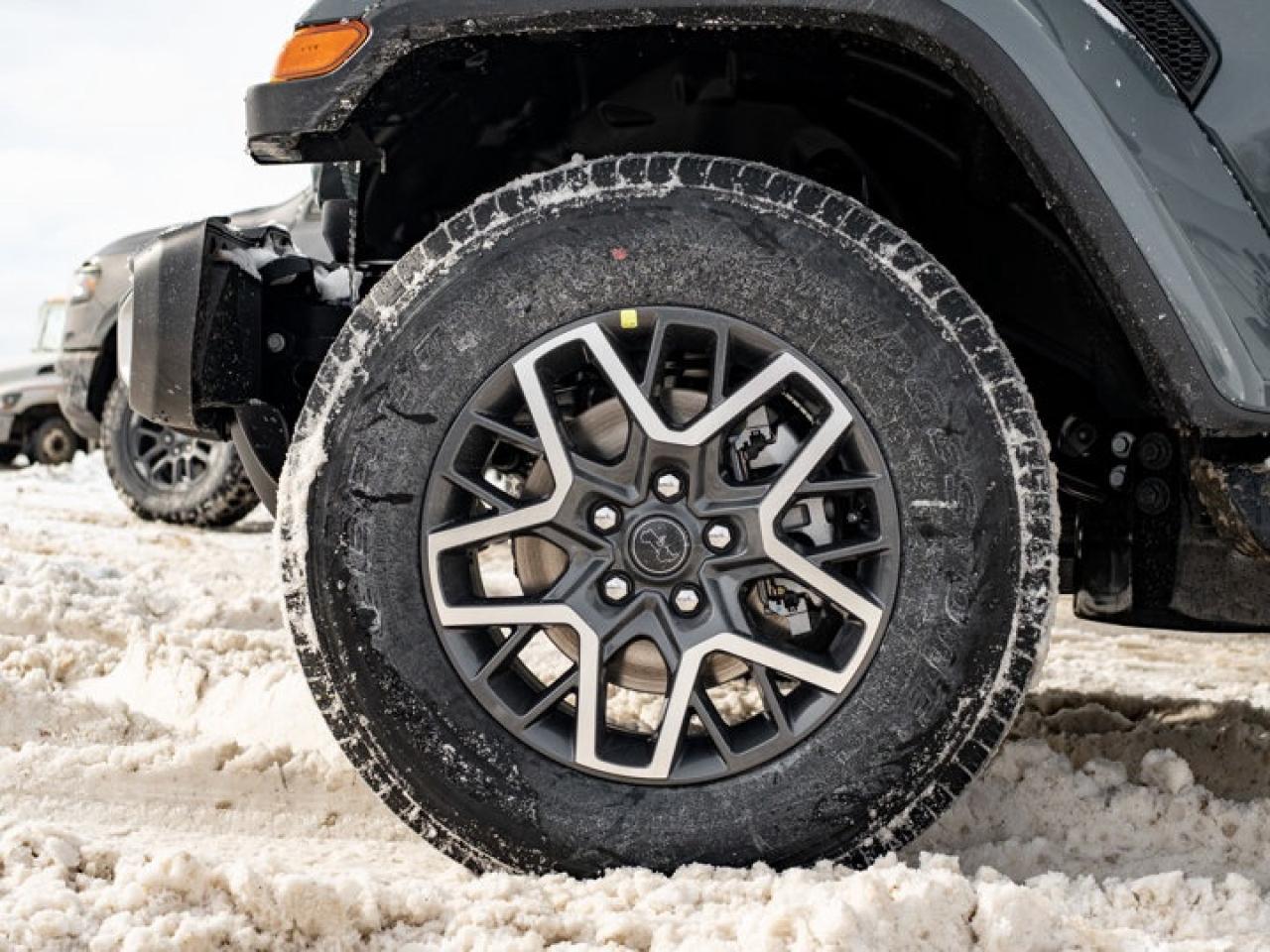 2026 Jeep Wrangler Sahara Photo