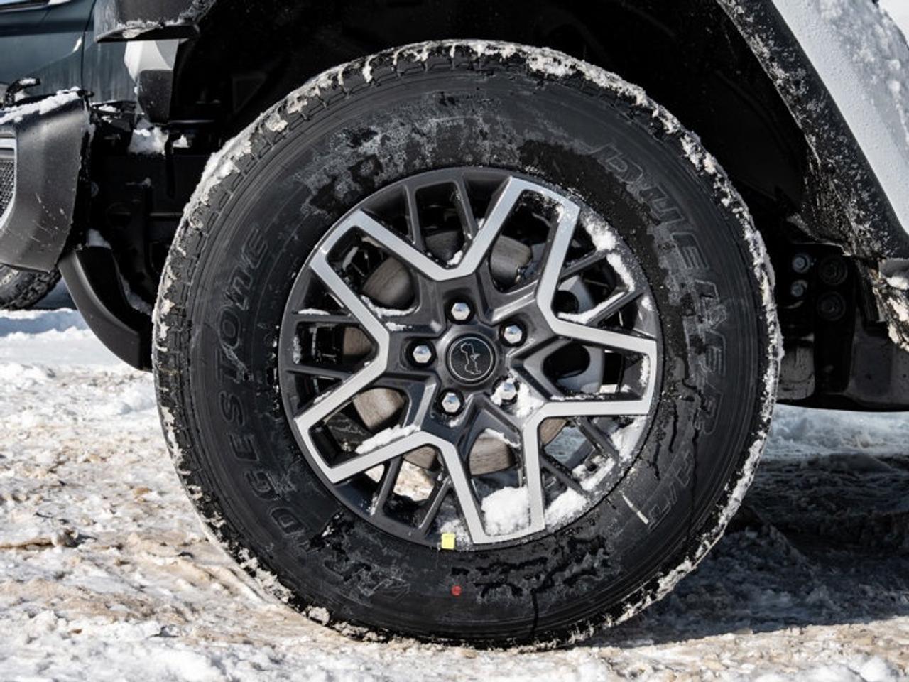 2026 Jeep Wrangler Sahara Photo