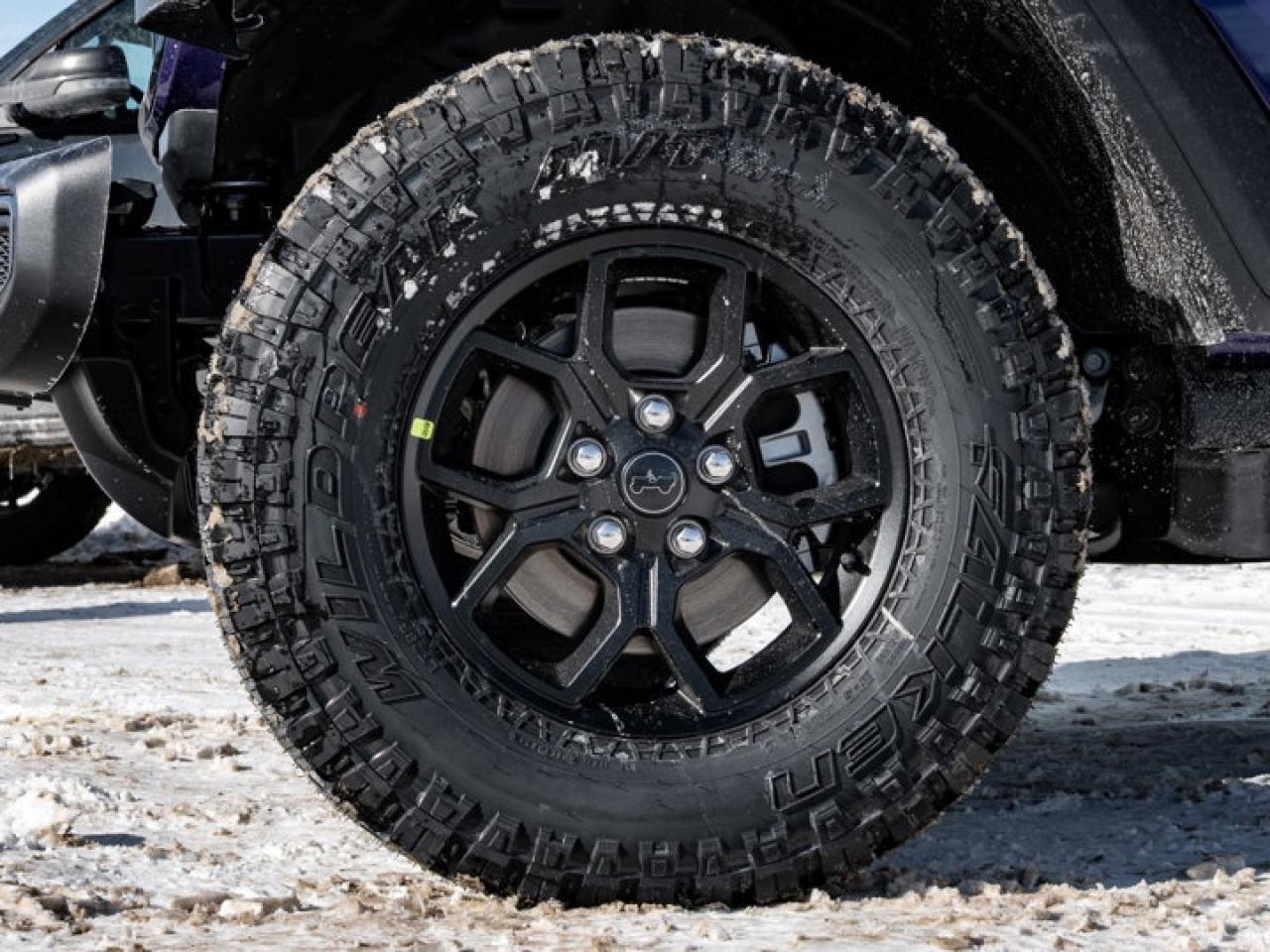 2026 Jeep Wrangler Willys Photo