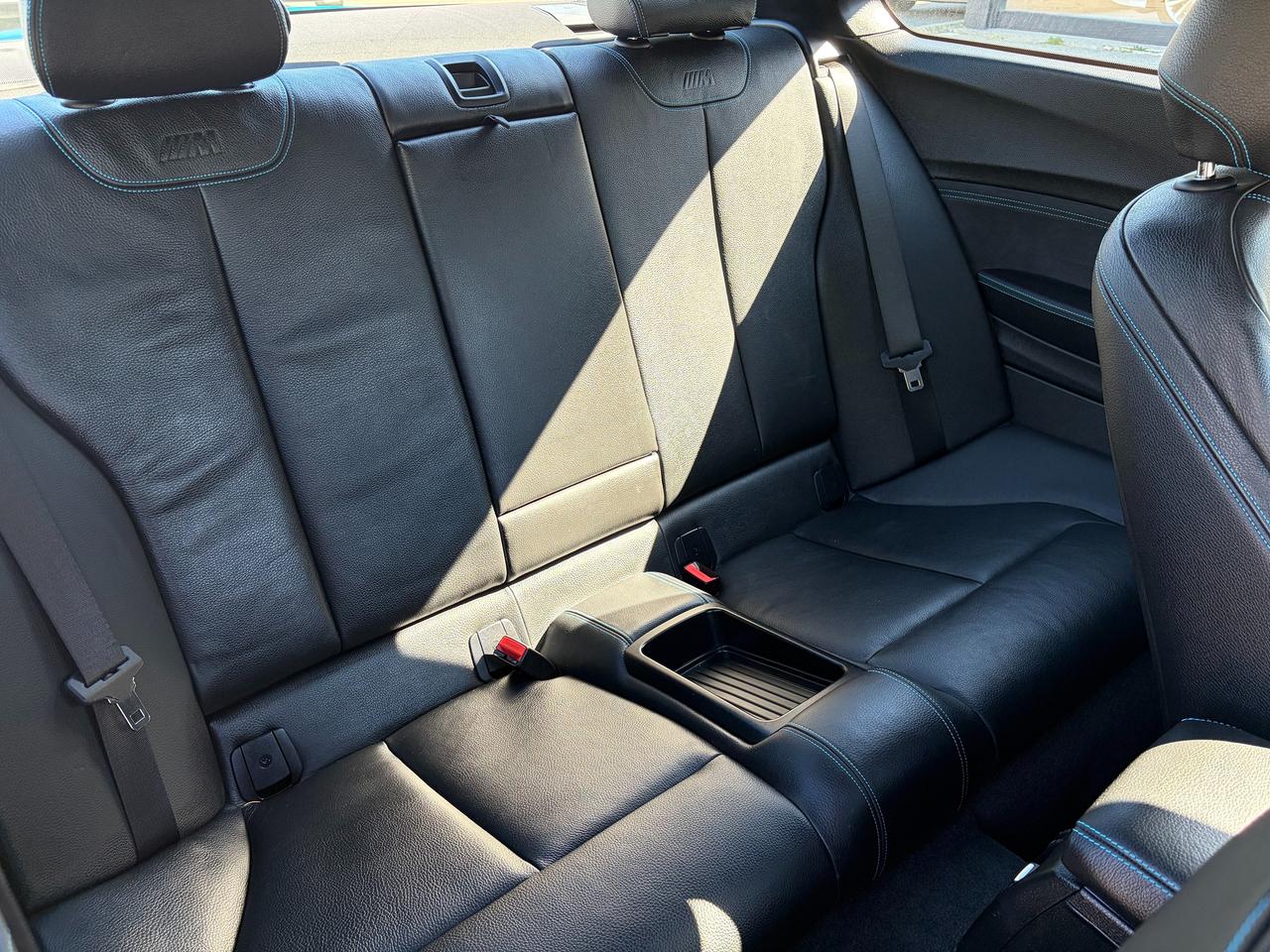 2017 BMW M2 06CP (Smartphone Integration) Photo