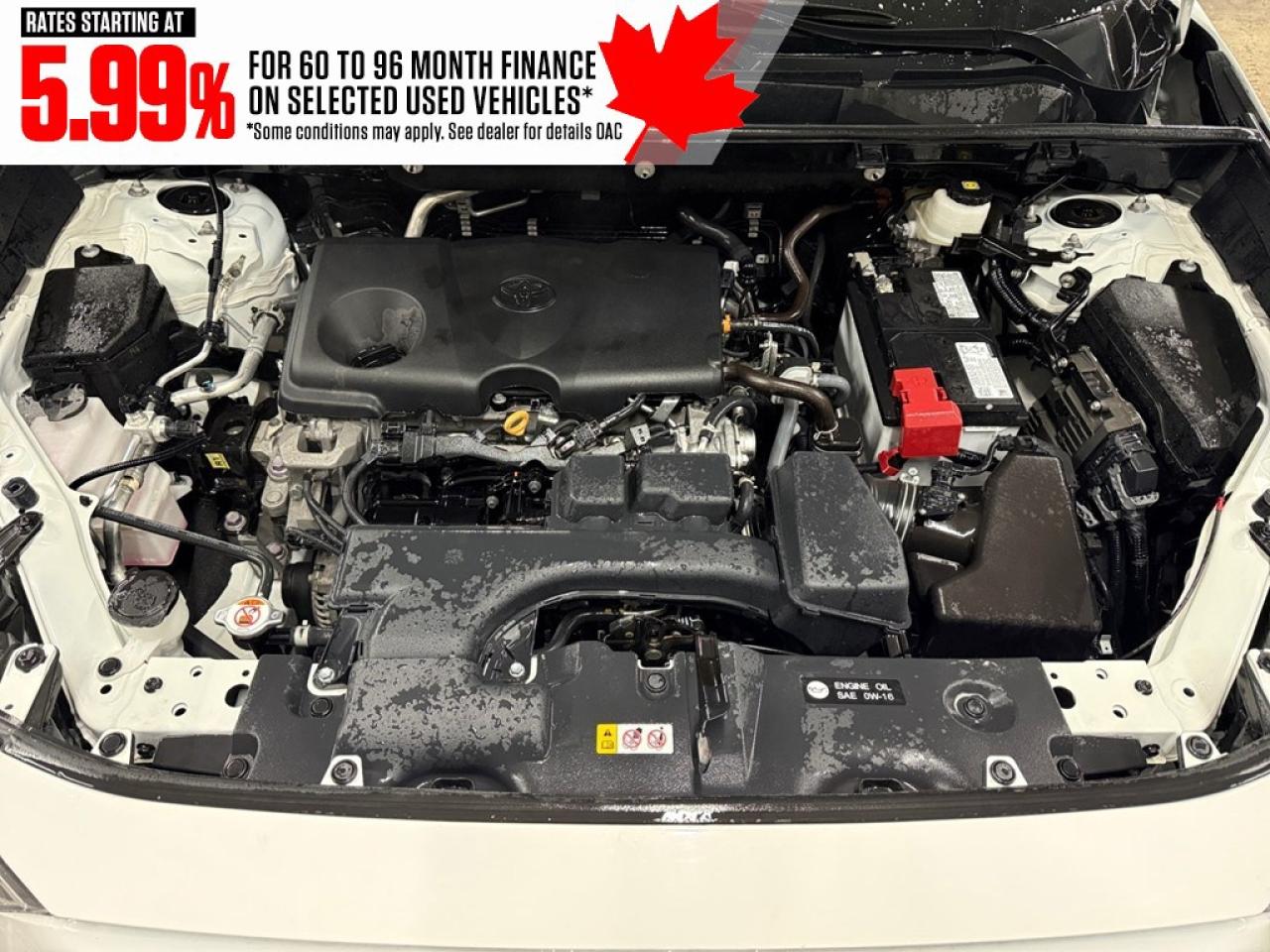 2024 Toyota RAV4 LE AWD Photo