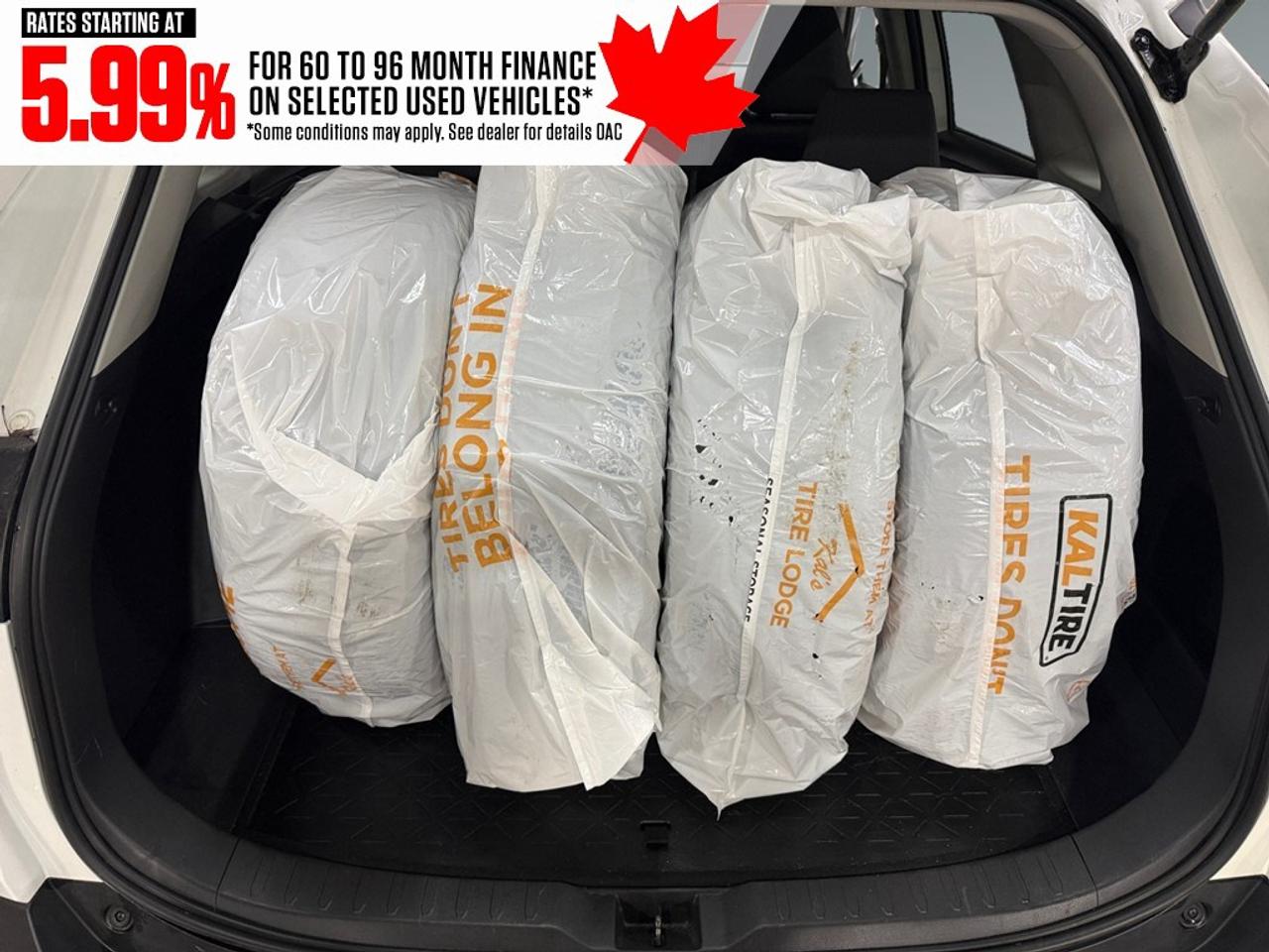 2024 Toyota RAV4 LE AWD Photo