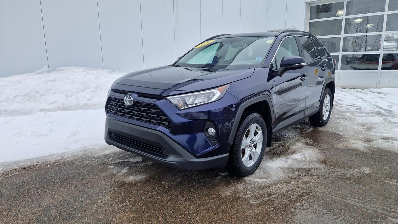 2020 Toyota RAV4 XLE Photo