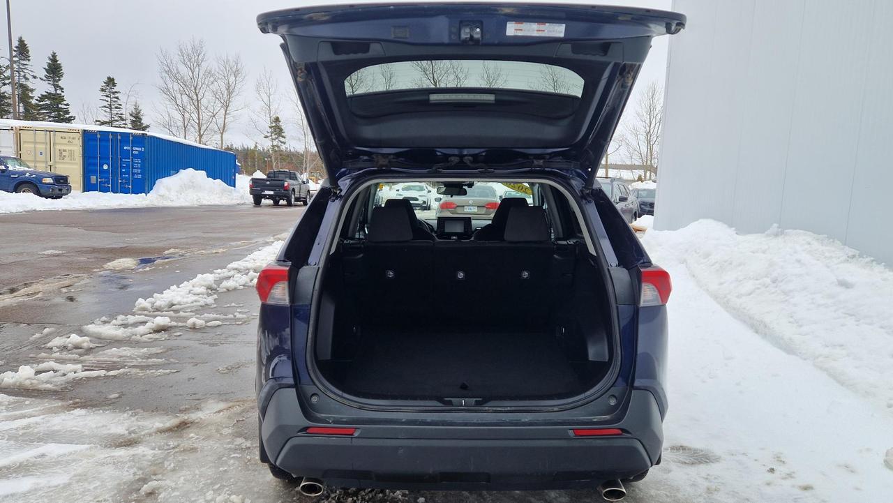 2020 Toyota RAV4 XLE Photo