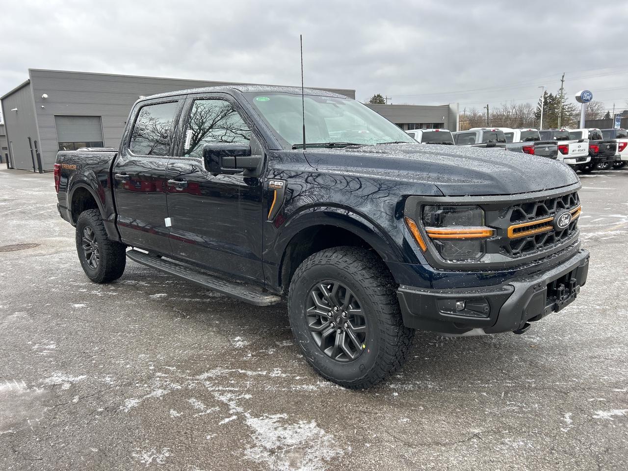 2025 Ford F-150 Tremor 4WD SuperCrew 5.5' Box Photo3