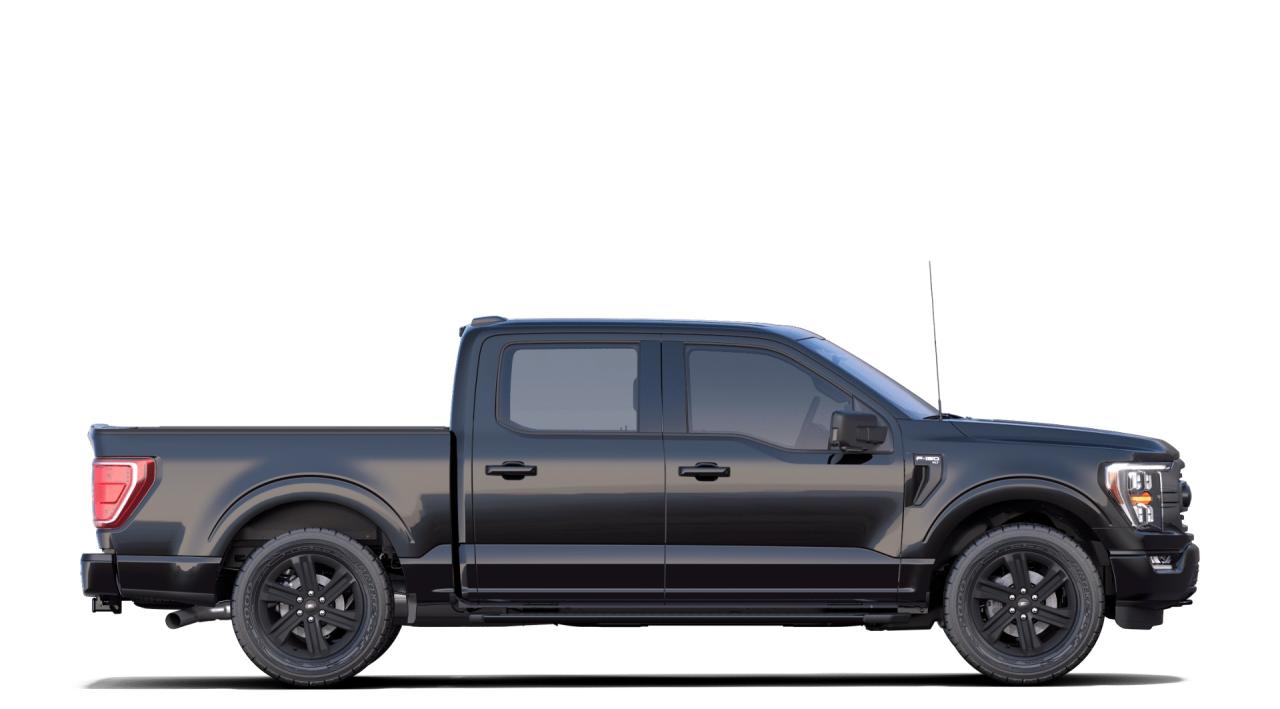 2022 Ford F-150  Photo4