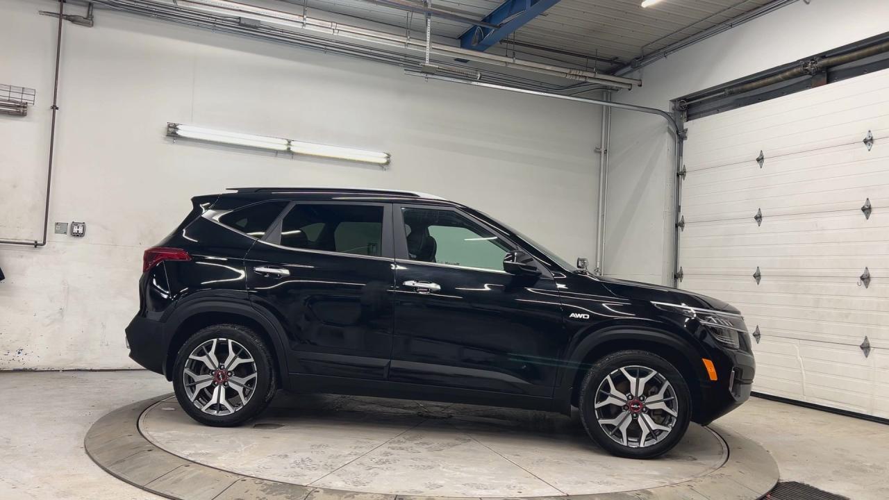 2023 Kia Seltos SX TURBO AWD | RED LEATHER| HTD/COOLED SEATS| BOSE Photo