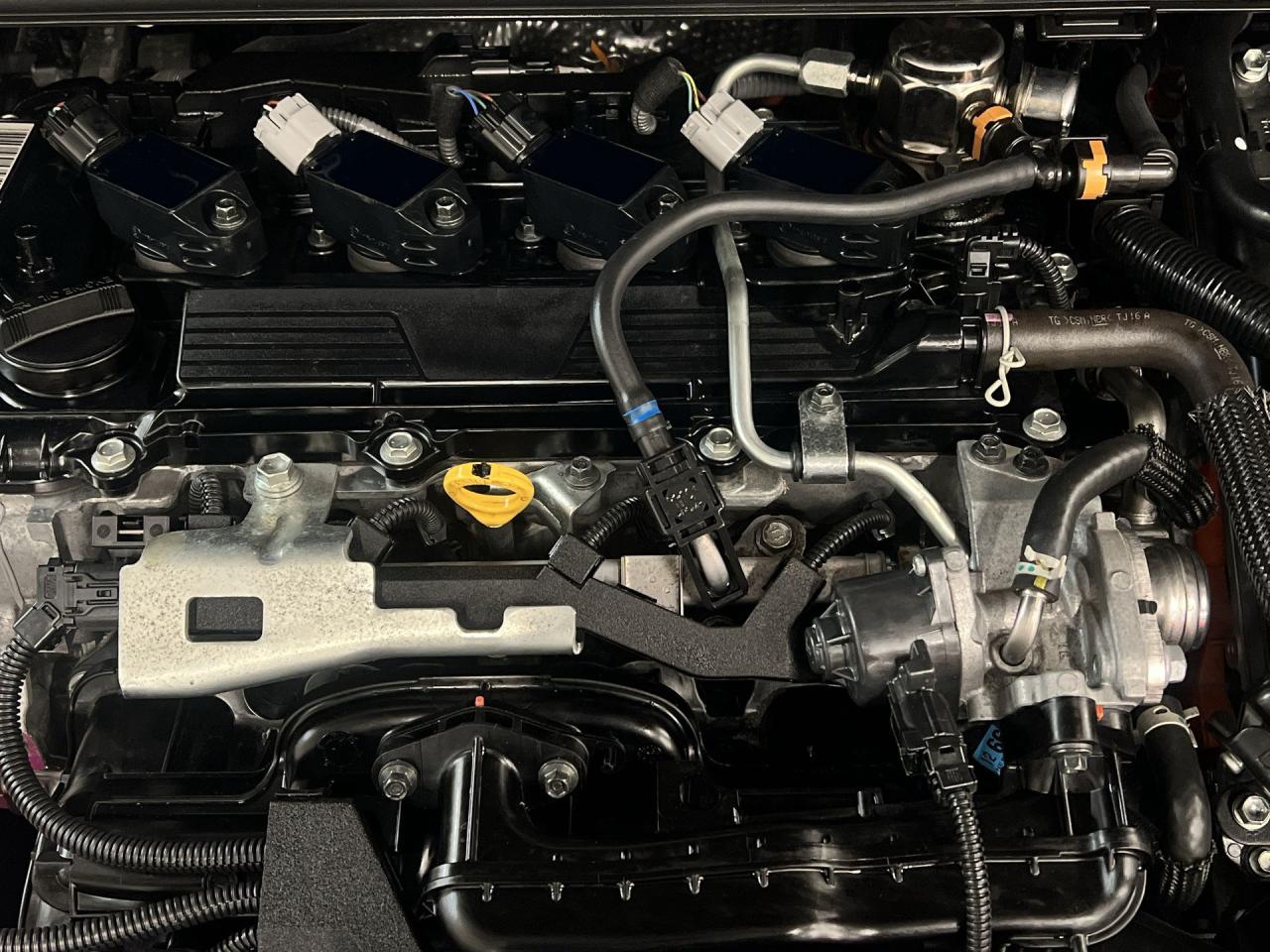 2024 Toyota Prius XLE AWD | HTD LEATHER | CARPLAY | 19IN ALLOYS Photo