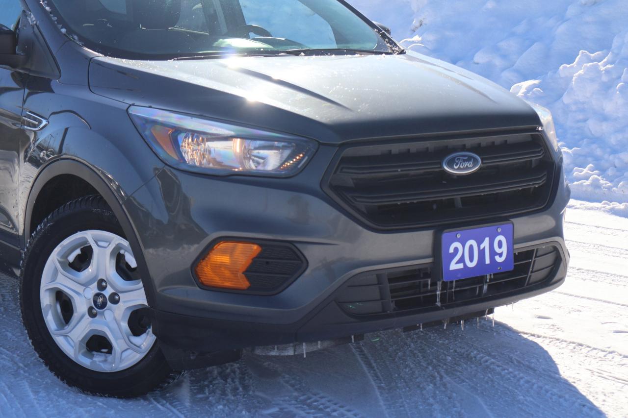 2019 Ford Escape S Photo