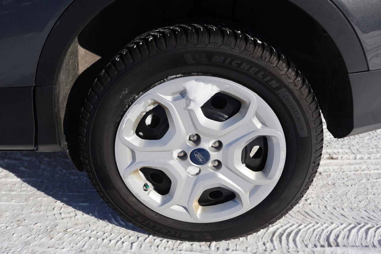 2019 Ford Escape S Photo