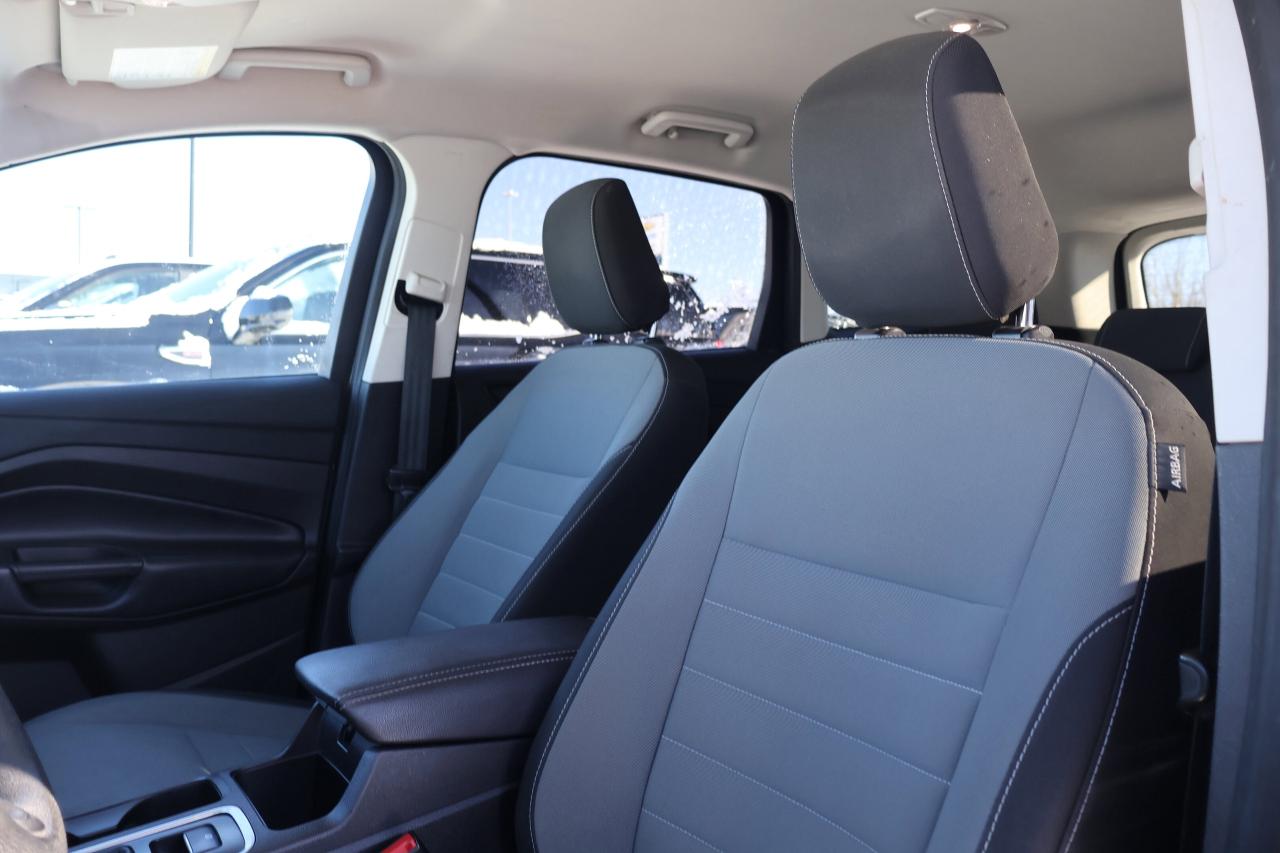 2019 Ford Escape S Photo