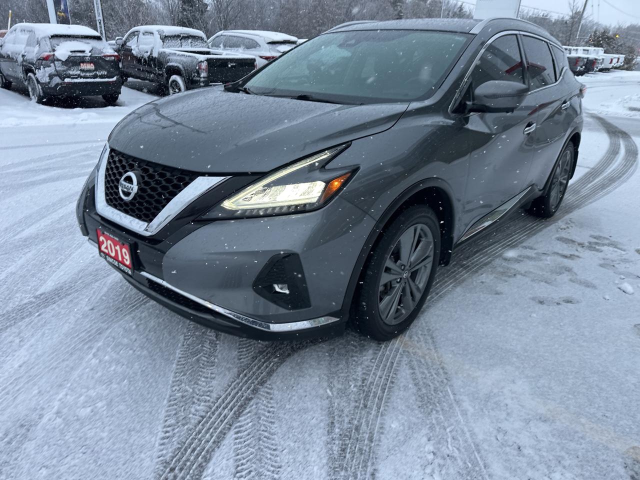 Used 2019 Nissan Murano Platinum for sale in Simcoe, ON