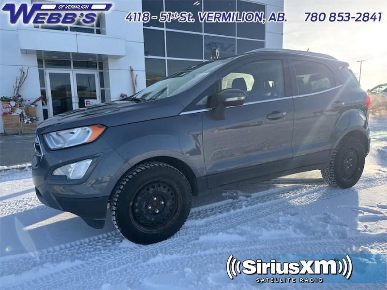 2020 Ford EcoSport Titanium 4WD Photo2