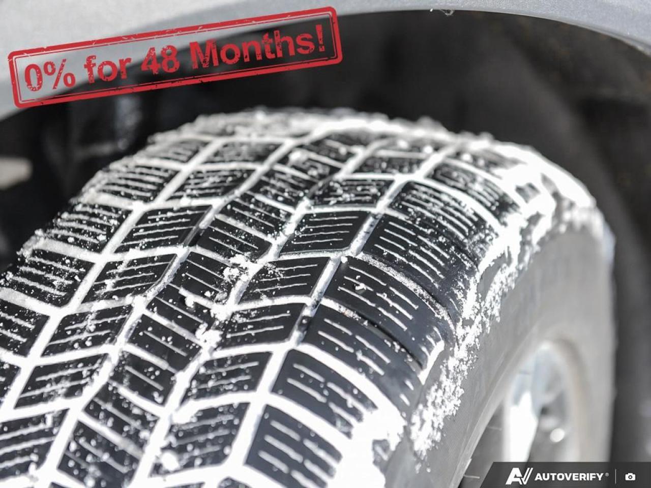 2023 Ford Escape Platinum Photo