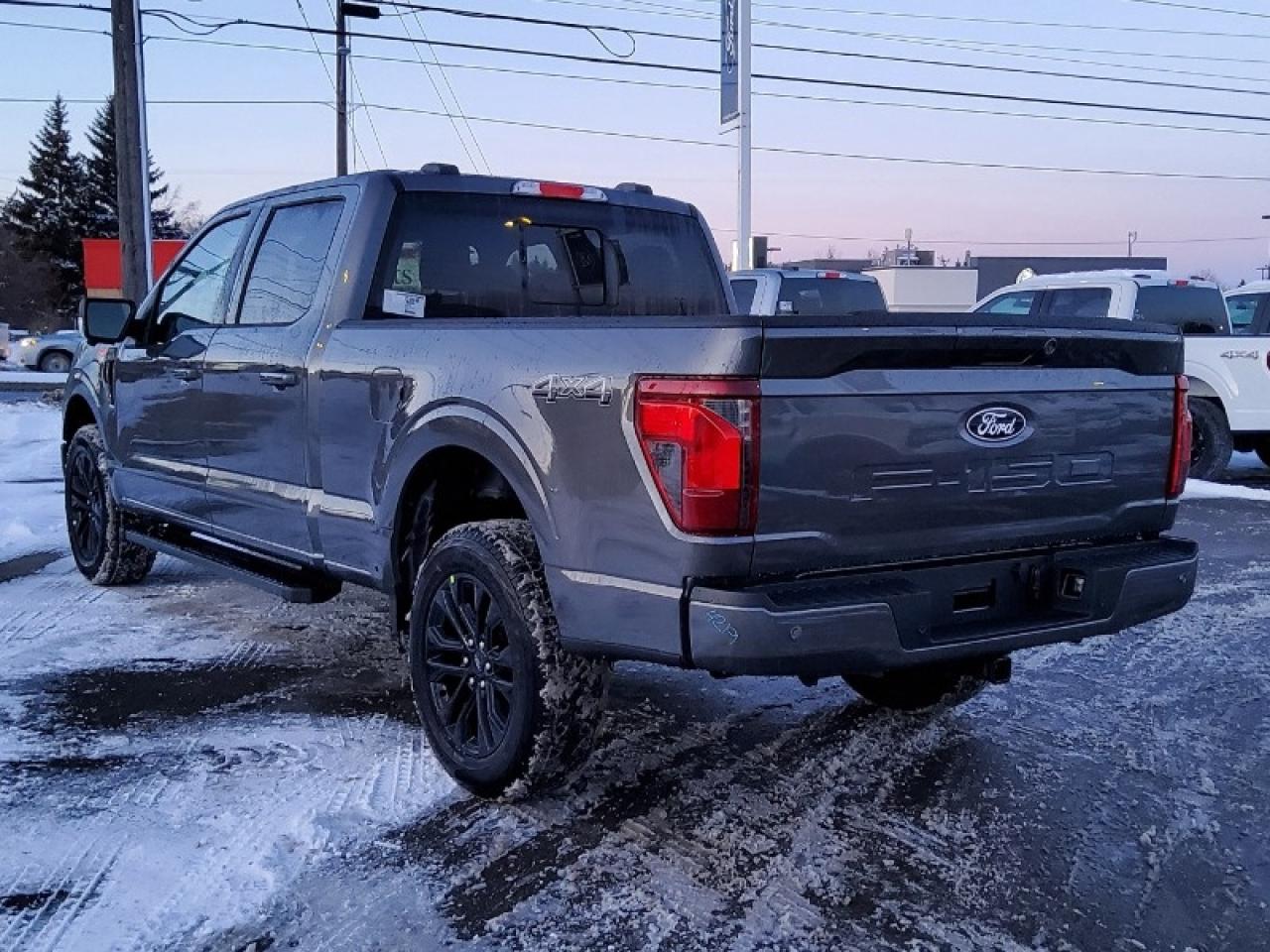 2025 Ford F-150 XLT Photo3