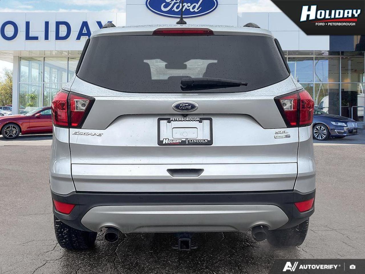 2019 Ford Escape SEL Photo
