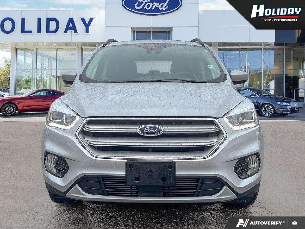 2019 Ford Escape SEL Photo