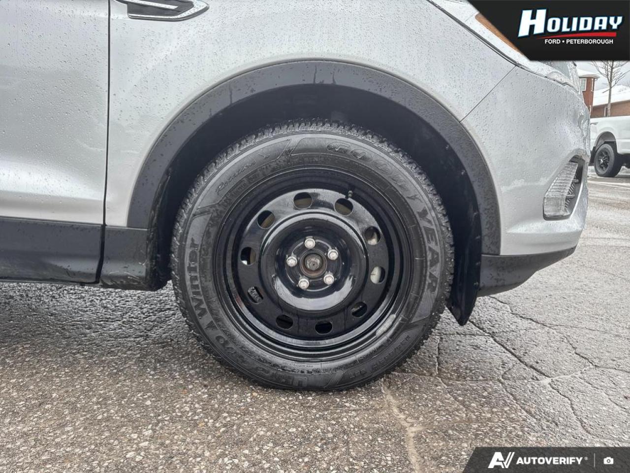 2019 Ford Escape SEL Photo