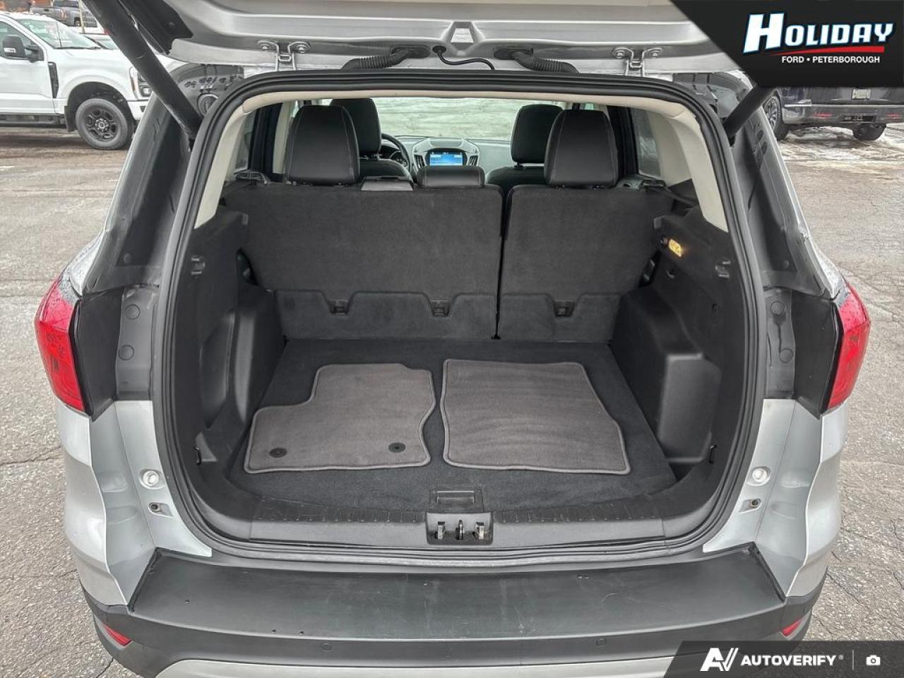 2019 Ford Escape SEL Photo