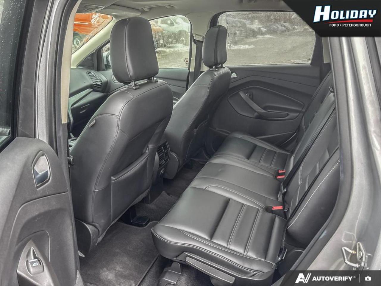 2019 Ford Escape SEL Photo