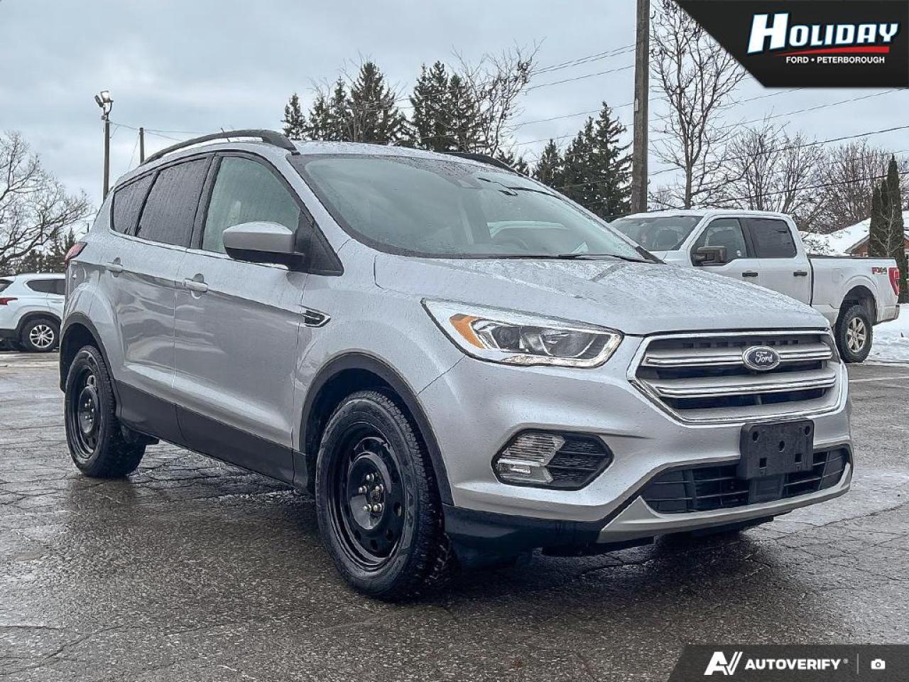2019 Ford Escape SEL Photo