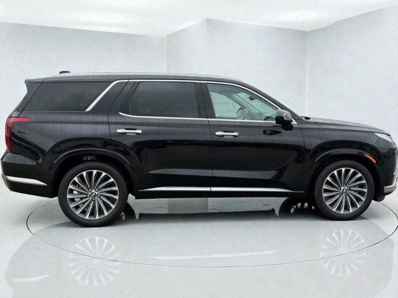 2024 Hyundai PALISADE Ultimate Calligraphy Photo2