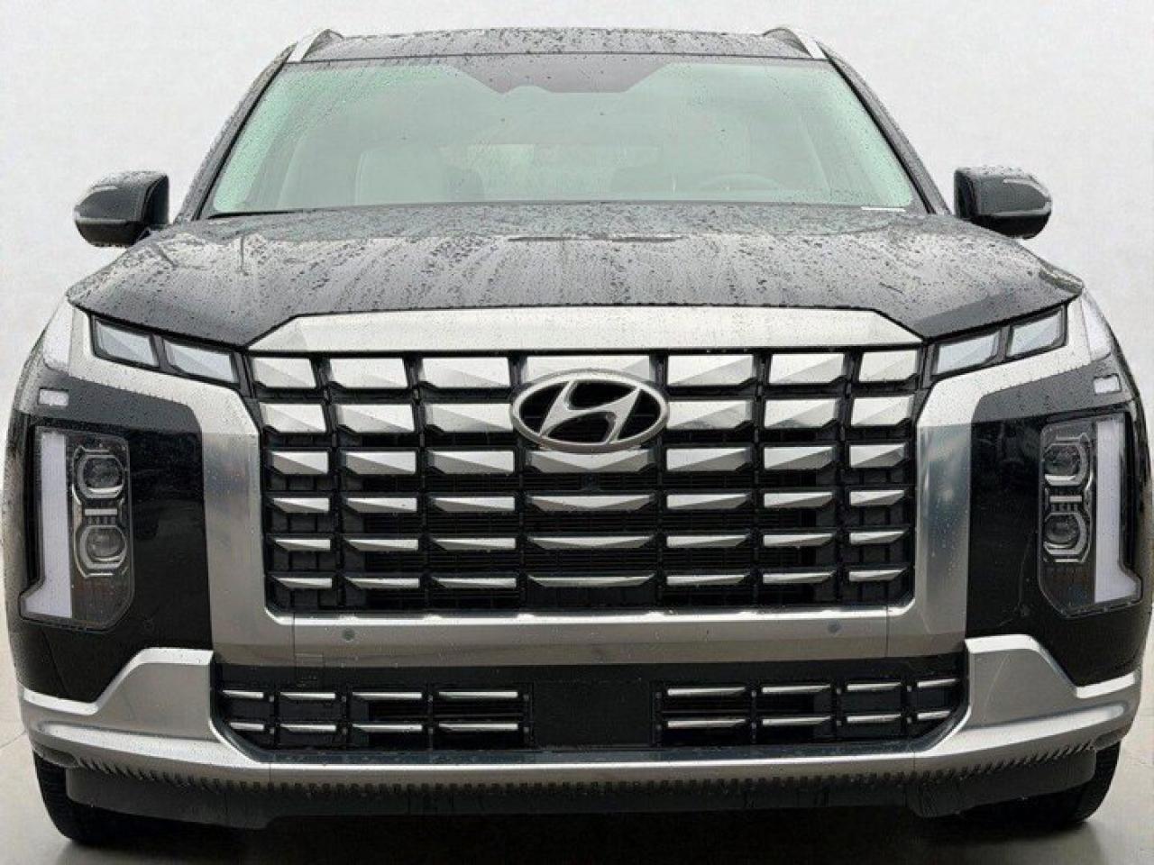 2024 Hyundai PALISADE Ultimate Calligraphy Photo4