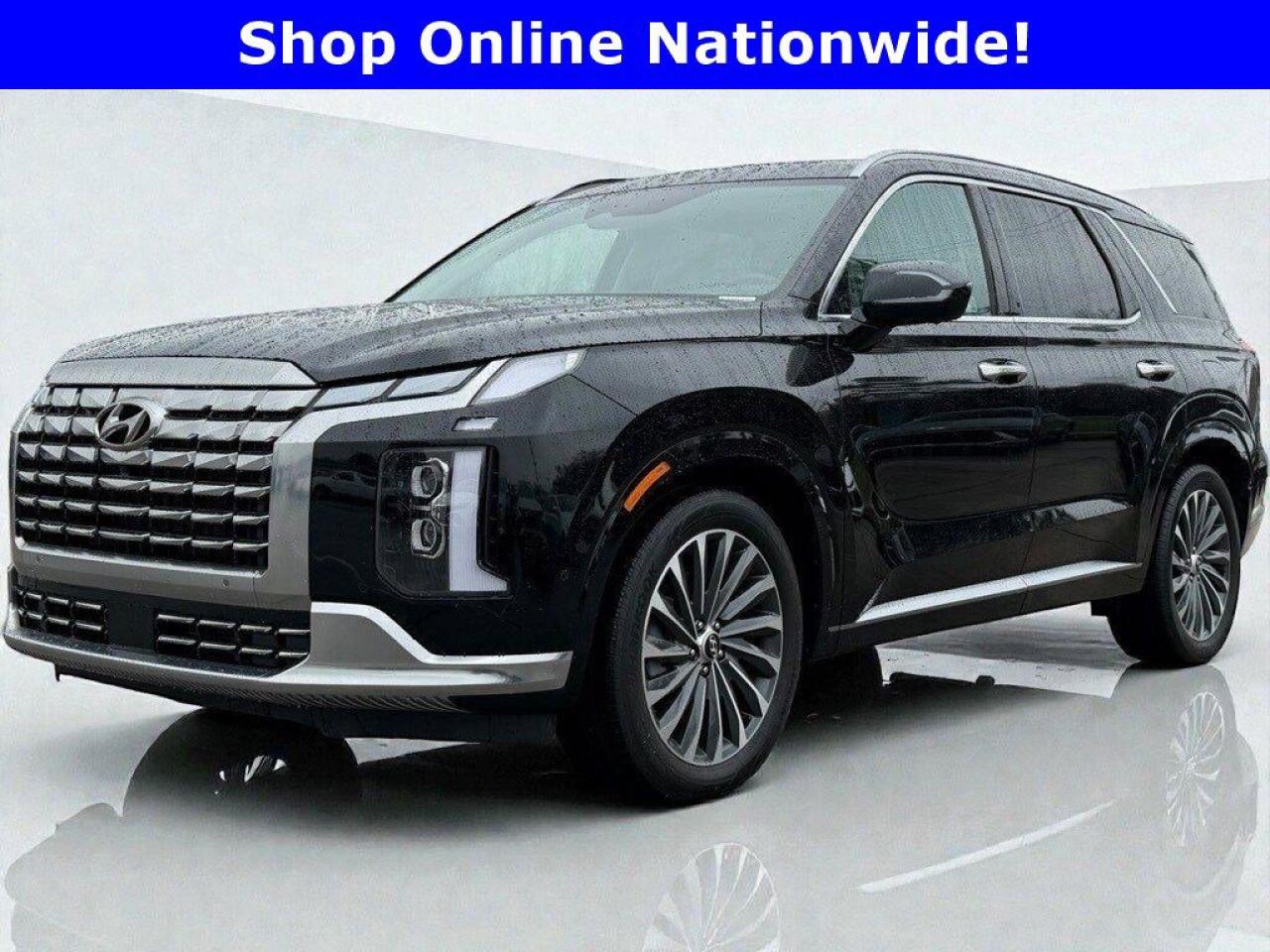 2024 Hyundai PALISADE Ultimate Calligraphy - Photo #1