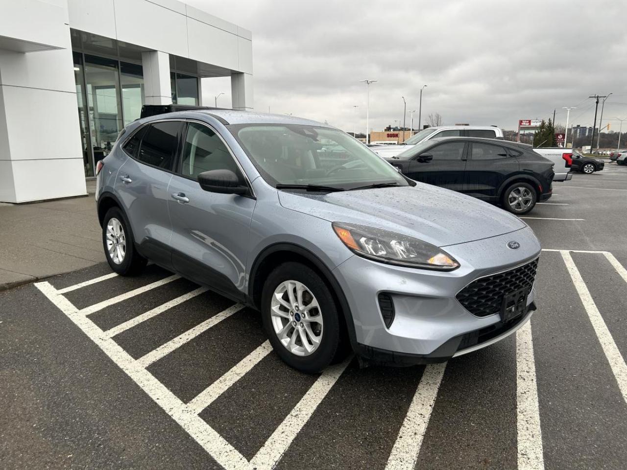 2022 Ford Escape SE Photo2