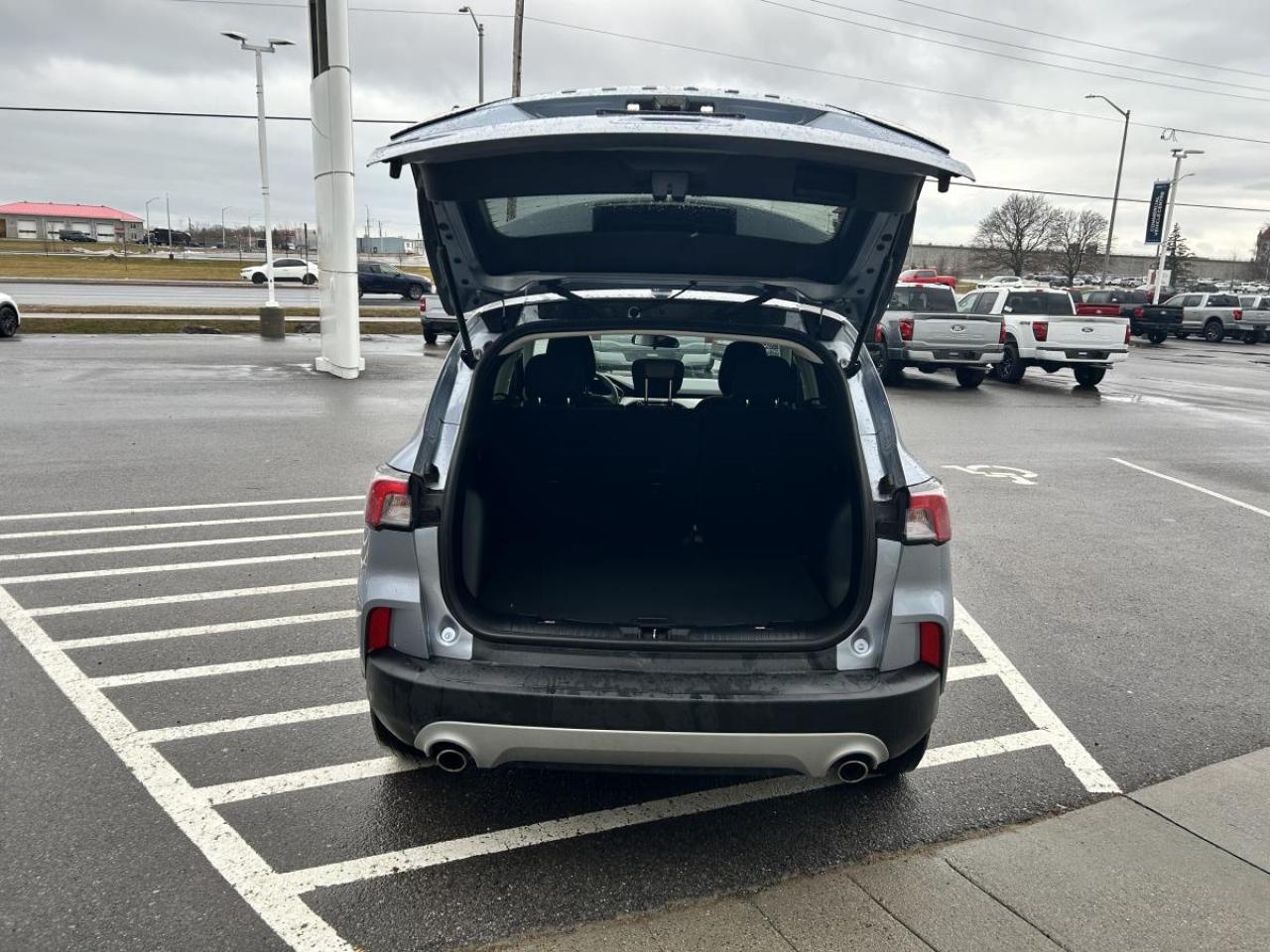 2022 Ford Escape SE Photo