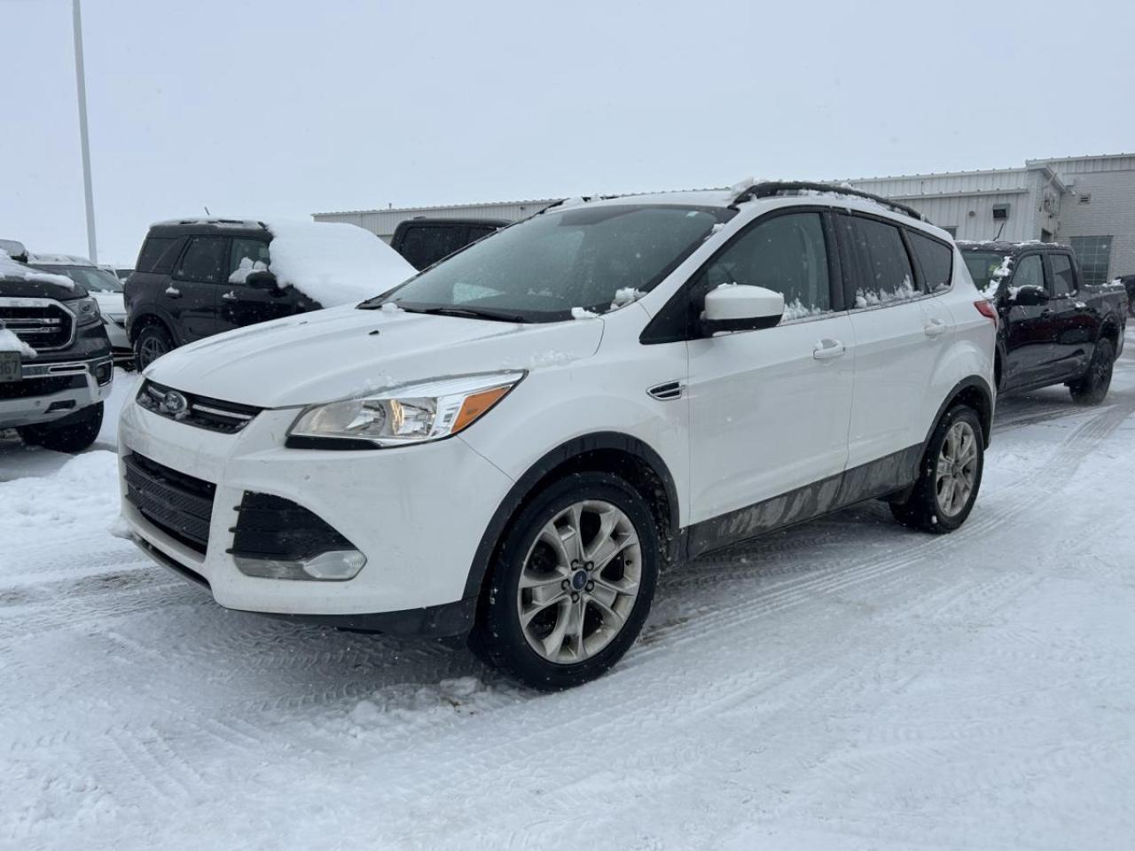 2016 Ford Escape 4WD 4dr SE Photo0