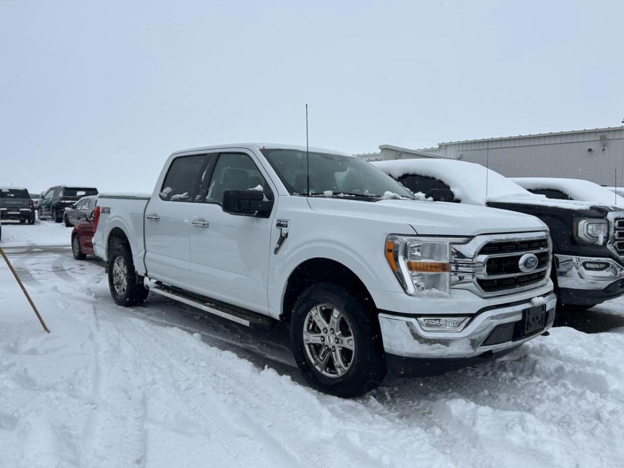 Used 2022 Ford F-150 XLT 4WD SuperCrew 5.5' Box for sale in Watford, ON
