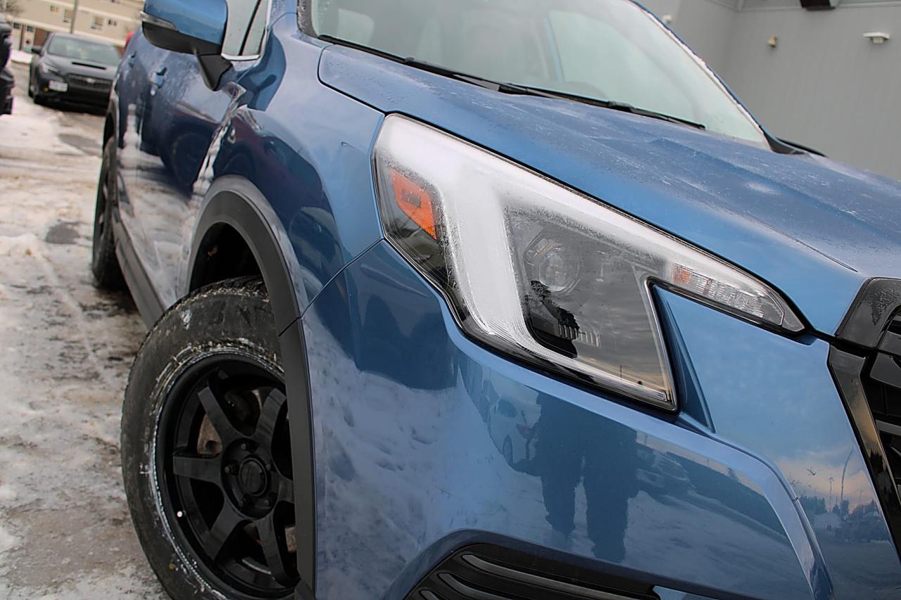 2024 Subaru Forester  Photo