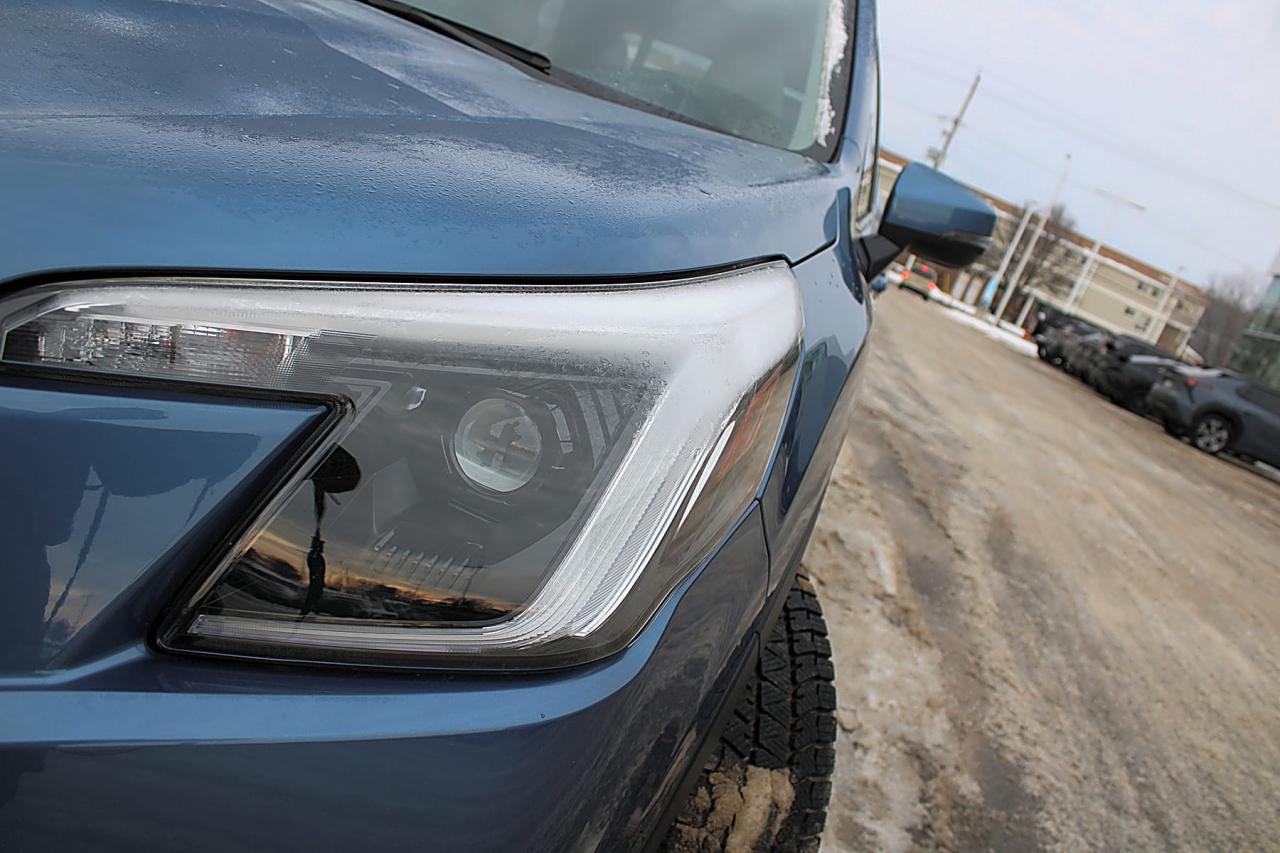 2024 Subaru Forester  Photo