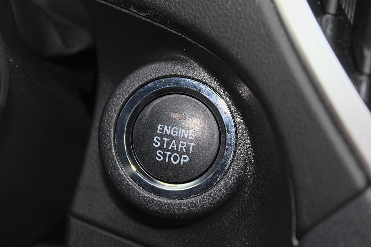 2024 Subaru Forester  Photo