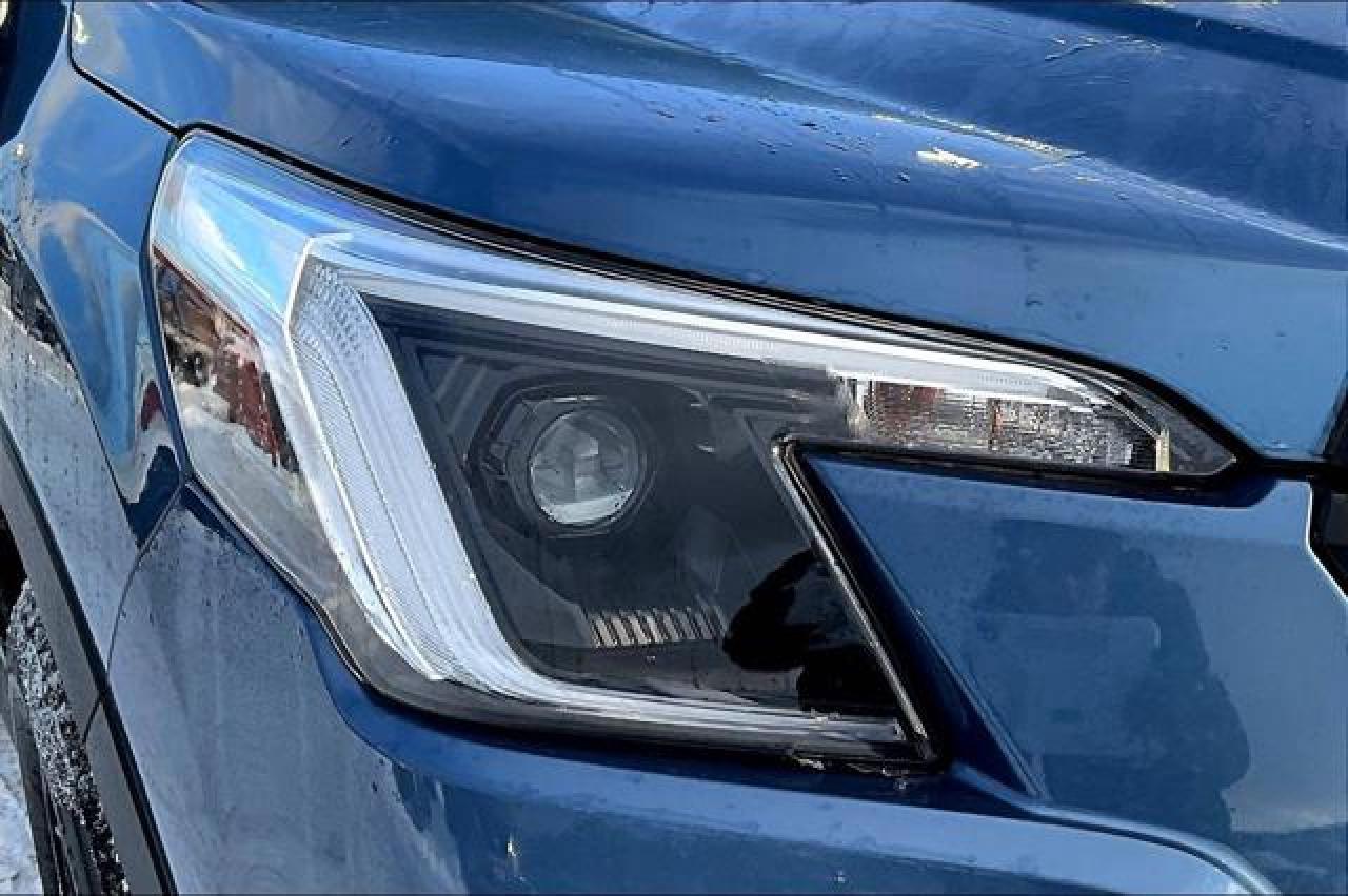 2024 Subaru Forester  Photo