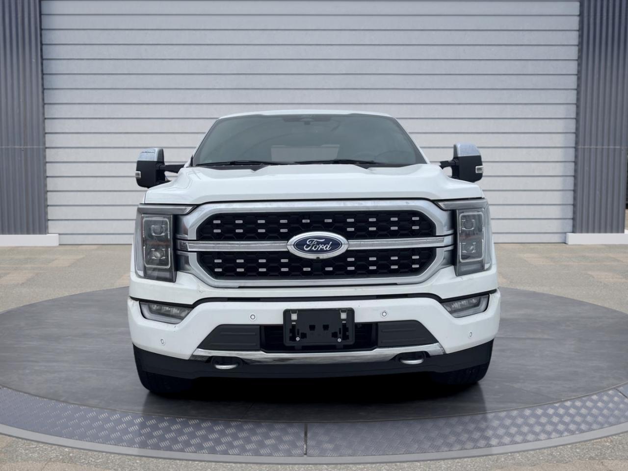 2022 Ford F-150 Platinum Photo