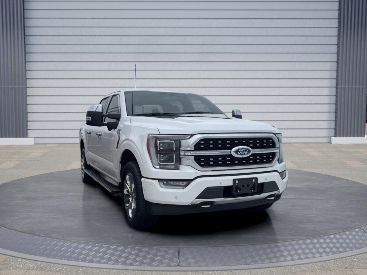 2022 Ford F-150 Platinum Photo2