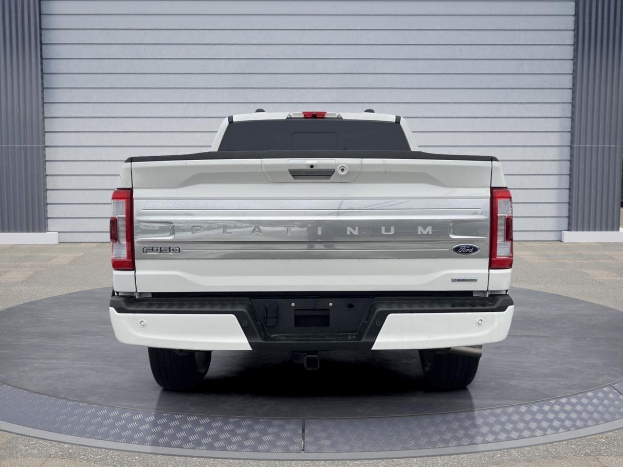 2022 Ford F-150 Platinum Photo4